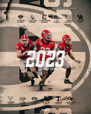 Image post by @GeorgiaFootball on Twitter