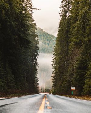 Image post by @grainyknight on Instagram