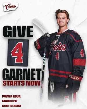 Image post by @cockhockey on Instagram