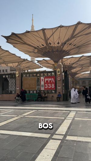Video post by @boss_hamed on TikTok
