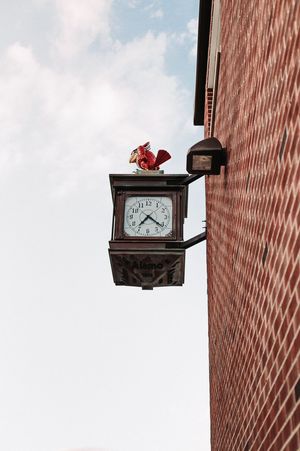 Image post by @NickoolasParra on Twitter