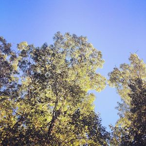 Image post by @briannalapaglia on Instagram