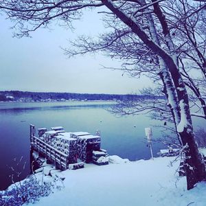 Image post by @themainemag on Instagram