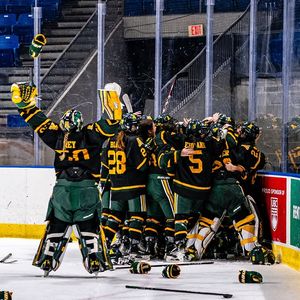 Image post by @bearsandpandas on Instagram