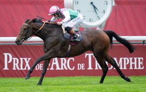 Image post by @juddmonte on Instagram