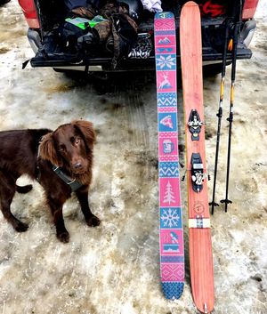Image post by @j_skis on Instagram