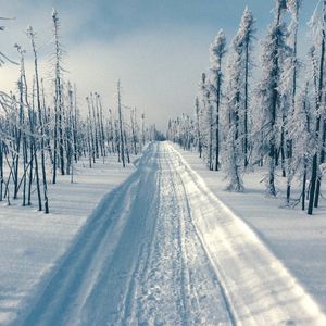 Image post by @itialaska on Instagram