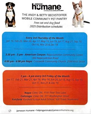 Image post by @bgcnv on Instagram