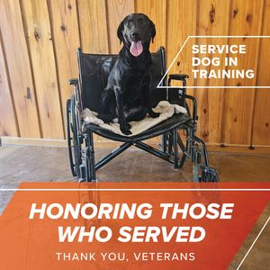 Image post by @acvauctions on Instagram