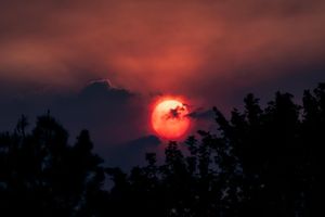 Image post by @trevorfrench on Instagram