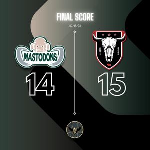 Image post by @mo_mastodons on Instagram