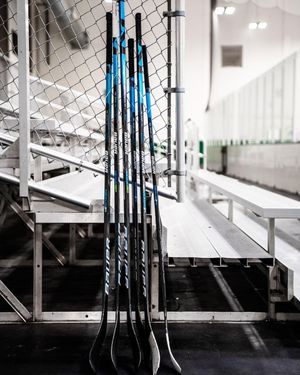 Image post by @bauer.sticks on Instagram