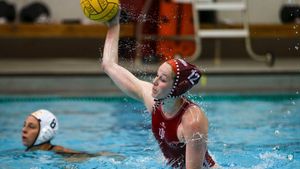 Image post by @IndianaWPolo on Twitter