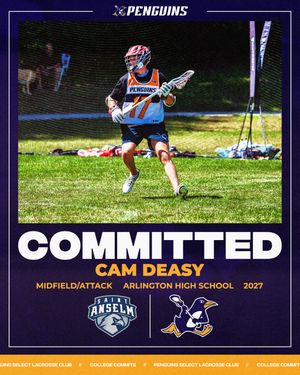 Image post by @penguinlax on Instagram