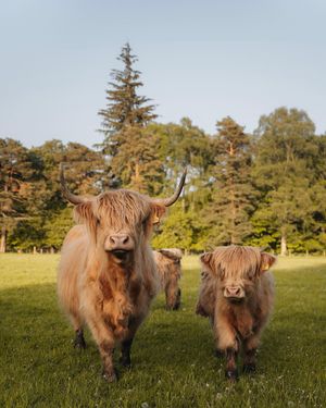 Image post by @visitscotland on Instagram