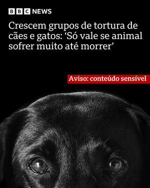 Image post by @bbcbrasil on Instagram