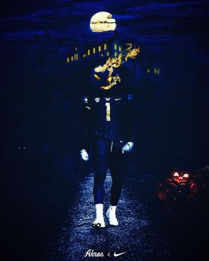 Image post by @zipsfb on Instagram