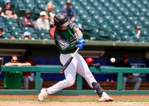Image post by @greatlakesloons on Instagram