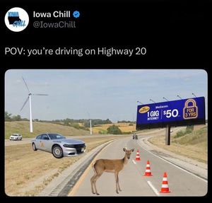 Video post by @iowachill on TikTok
