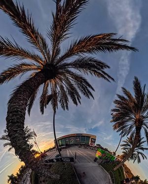 Image post by @amerantbankarena on Instagram