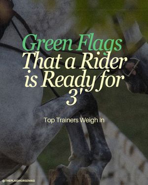 Image post by @theplaidhorsemag on Instagram