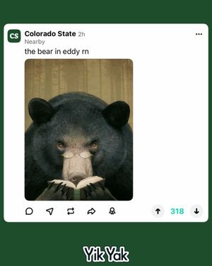 Image post by @yikyakapp on Instagram