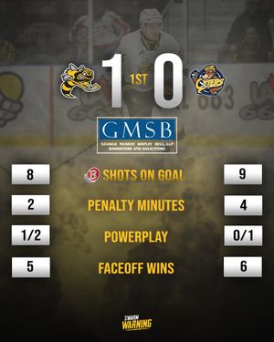 Image post by @StingHockey on Twitter