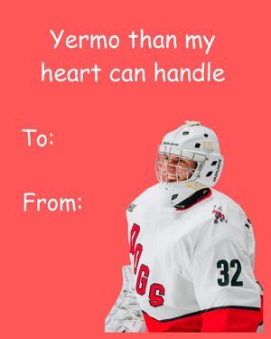 Image post by @ohlicedogs on Instagram