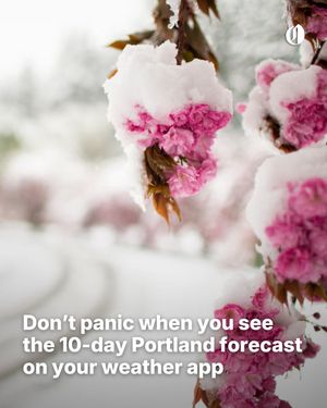 Image post by @theoregonian on Instagram