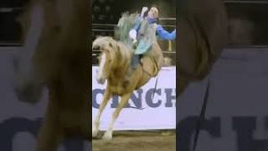Video post by @officialcowboychannel on YouTube