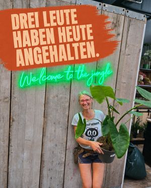 Image post by @oldenburgerwohngarten on Instagram
