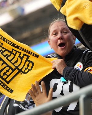 Image post by @steelers_nation_unite on Instagram