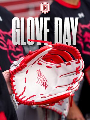 Image post by @bradleysoftball on Instagram