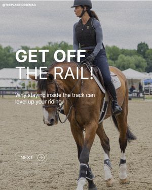 Image post by @theplaidhorsemag on Instagram