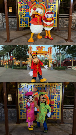 Video post by @disneyparks on TikTok