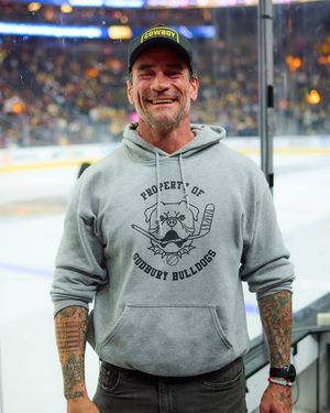Image post by @nhl on Instagram