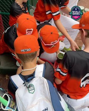 Image post by @littleleague on Instagram