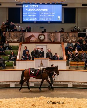 Image post by @thoroughbred_daily_news on Instagram