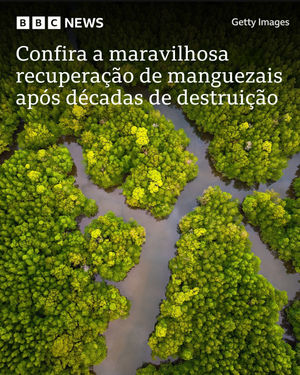 Image post by @bbcbrasil on Instagram