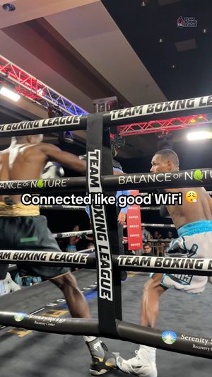Image post by @teamboxingleague on Instagram