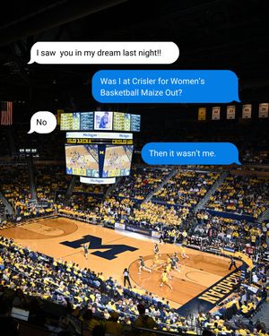 Image post by @umichwbball on Instagram