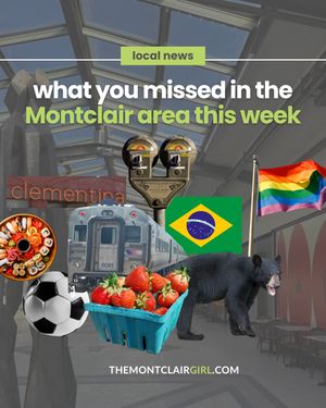 Image post by @themontclairgirl on Instagram