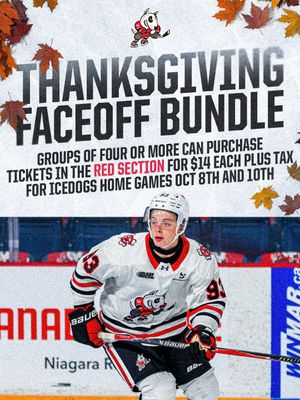 Image post by @ohlicedogs on Instagram