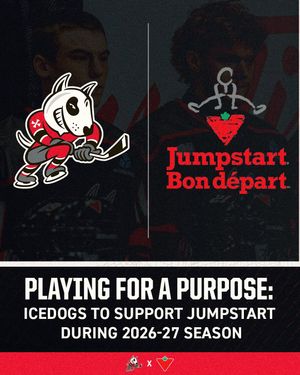 Image post by @ohlicedogs on Instagram