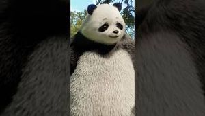 Video post by @appletv on YouTube
