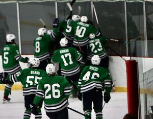 Image post by @usphlhockey on Instagram