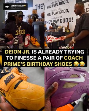 Image post by @soleretriever on Instagram