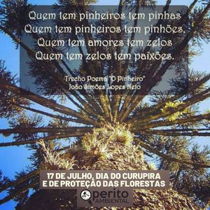 Image post by @operitoambiental on Instagram