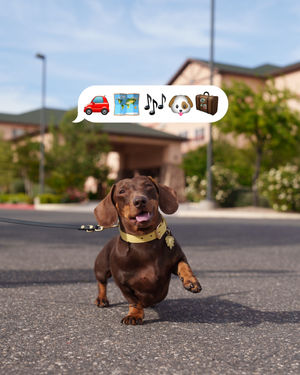 Image post by @bestwestern on Instagram