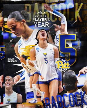 Image post by @pitt_vb on Instagram